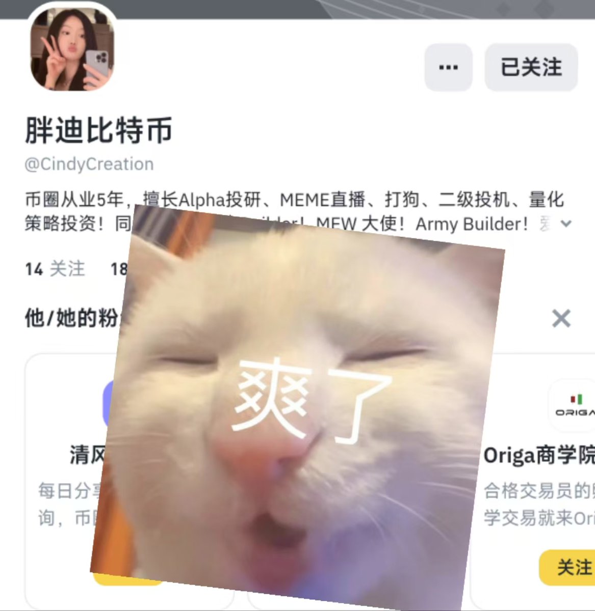 痴呆猫(不想上班版)🟦SOL🟩INJ🟧BNB tweet media