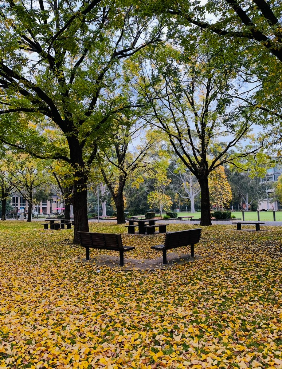La Trobe Law School is hiring! Two Level B positions, check out details below (along with a picture of my lunch spot if you needed any additional reasons to apply): 

careers.pageuppeople.com/533/caw/en/job…

careers.pageuppeople.com/533/caw/en/job…