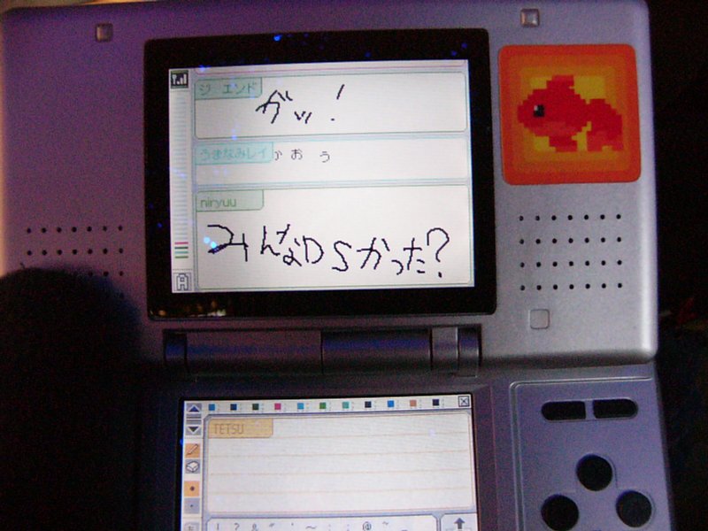 【お譲り先決まりました】3DS・DSLite Amazon | ニンテンドーDSブラウザー(ニンテンドーDS用:DSメモリー拡張
