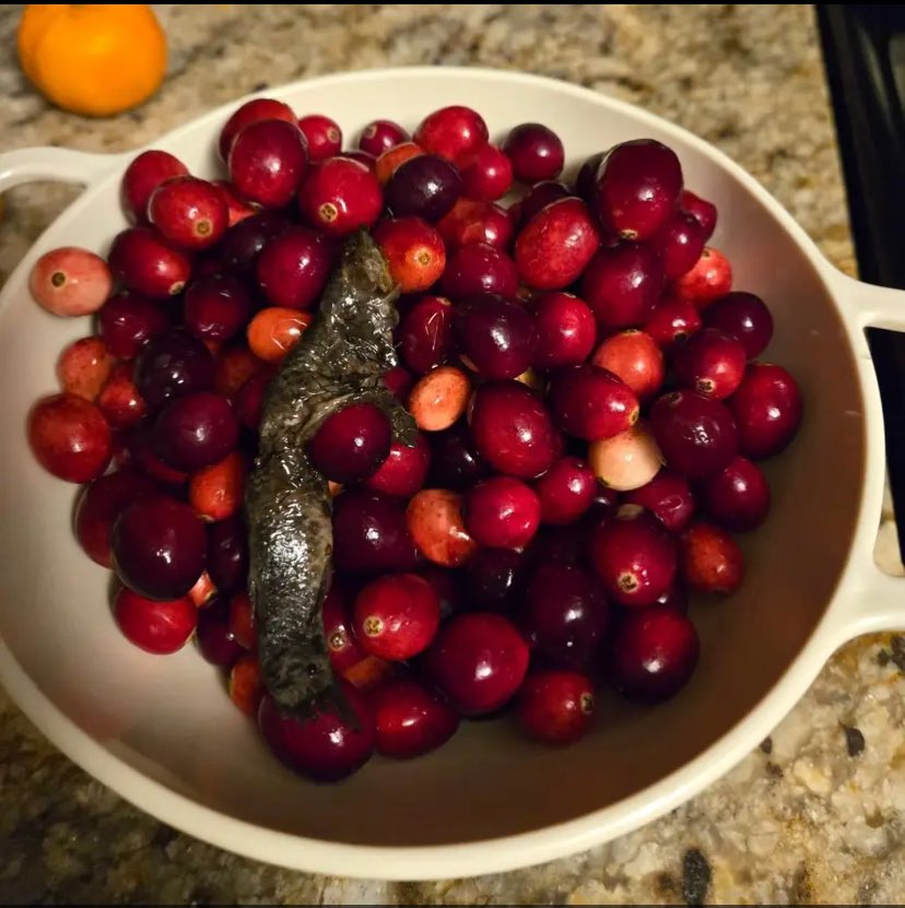 This is no joke…. A friend’s bag of cranberries had a dead fish in the package.  From the bog, I’m sure… but still: 🤯🤢.