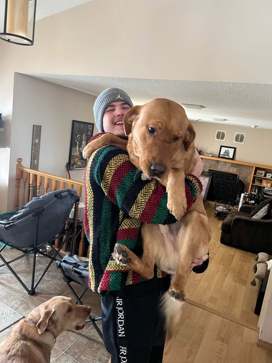heysteely's tweet photo. My boys. Apparently Nik needed Ollie more than us and the good boy he was - he made his way to go to him today 😢 . We are going to miss you Ollie puppy. Give Nik the biggest hug from all of us. ❤️ https://t.co/1kwzp2GWFJ