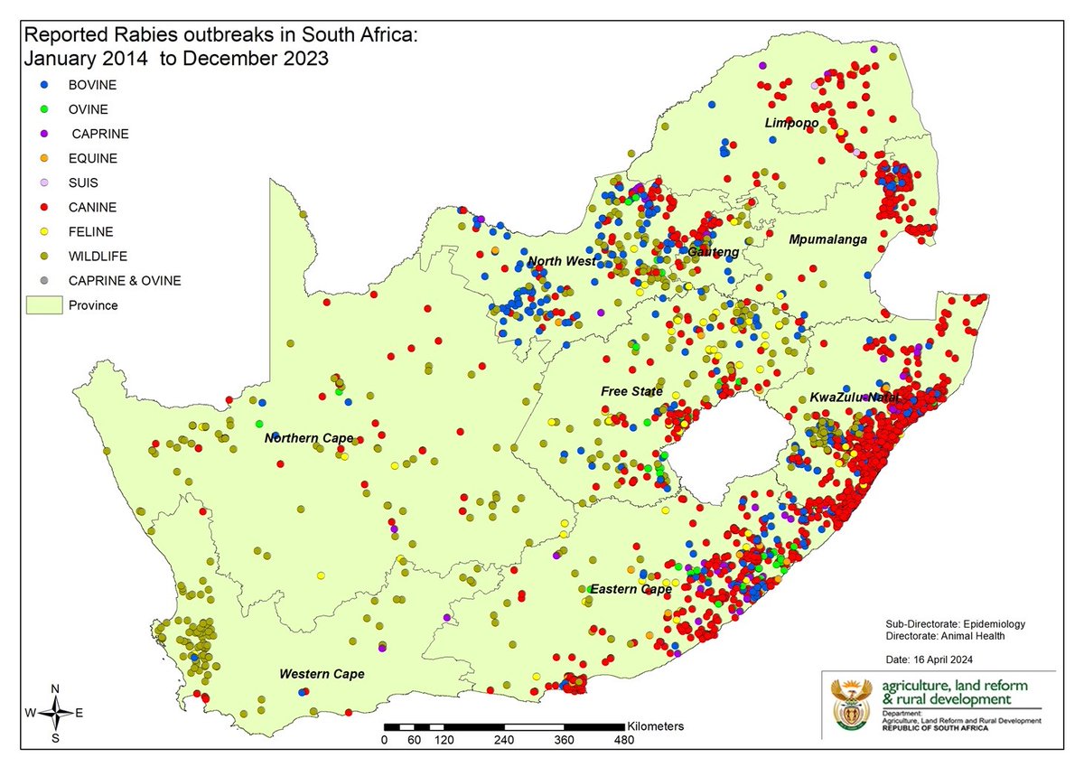High-risk #Rabies areas: #Rabies occurs in all nine provinces and rabies in dogs is common in KwaZulu-Natal, Eastern Cape, and Limpopo. Stay away from stray animals, do not pick up or take home animals you don’t know. #RabiesAwareness #StayInformed #SafetyFirst
Image credit: DoA