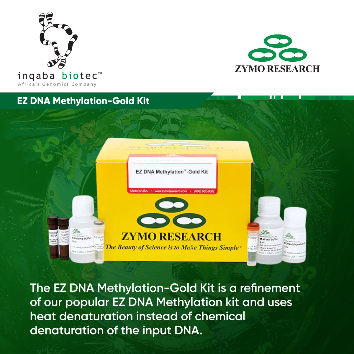 EZ DNA Methylation-Gold Kit

Complete bisulfite conversion of DNA in less than 3 hours.

Desulphonation and recovery of bisulfite-treated DNA with a spin column.

Recovered DNA is ideal for downstream analyses such as PCR, endonuclease digestion, sequencing, microarrays, etc.