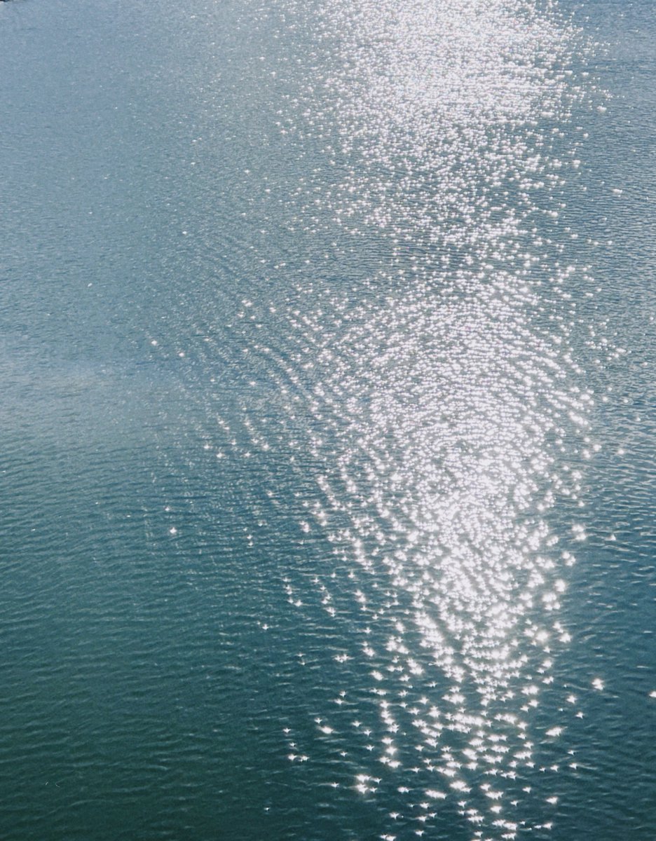 nekonosenaka6's tweet image. Morning

#dazz