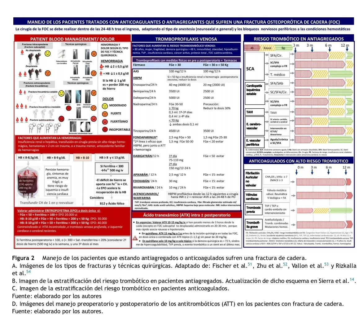 _REDAR_'s tweet photo. Fractura de cadera 🦴 en paciente antiagregado o anticoagulado 🩸: te suena❓ Aquí puedes leer las recomendaciones que nos hacen varios miembros de la STFH de SEDAR... Imprescindibles para mejorar su pronóstico‼️
https://t.co/J0ydxYGsGM https://t.co/prLfCEkCPT