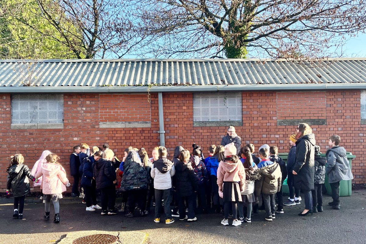 Rio Architects Ltd. tweet media