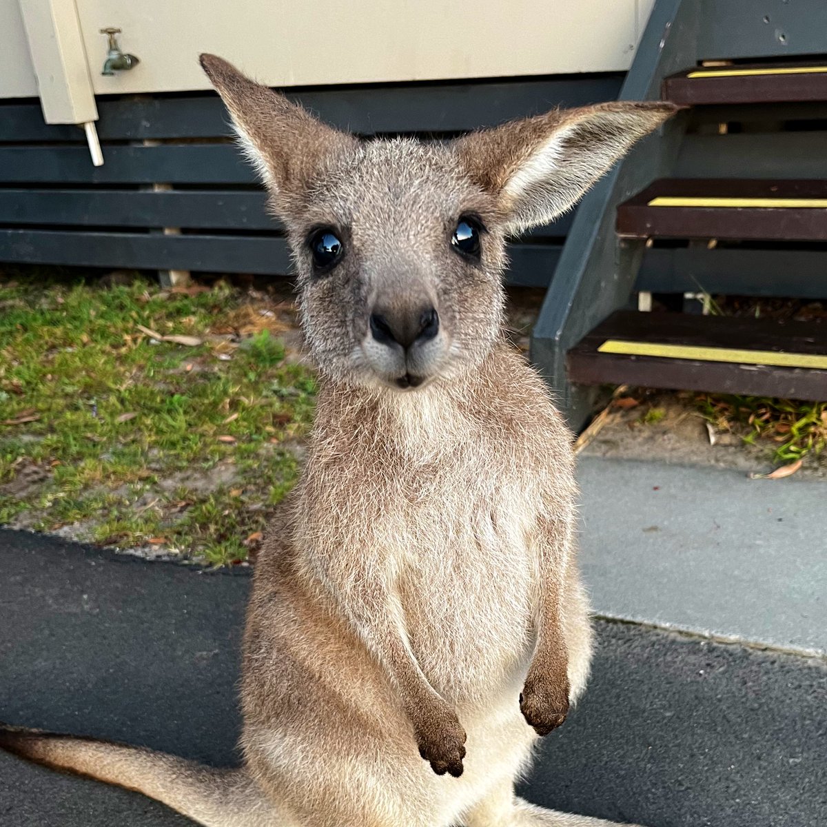 Curious kid