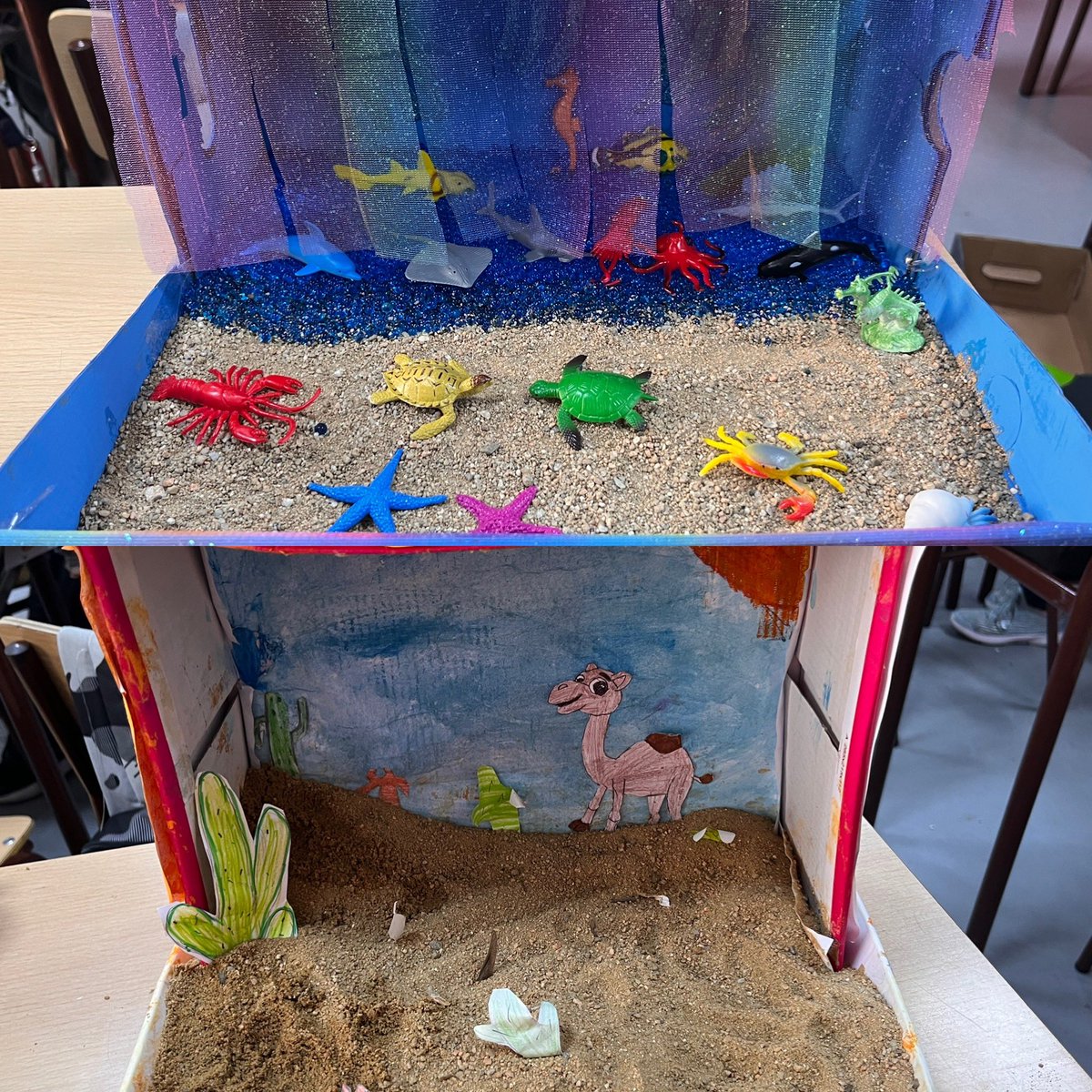 Anna Palomero tweet media