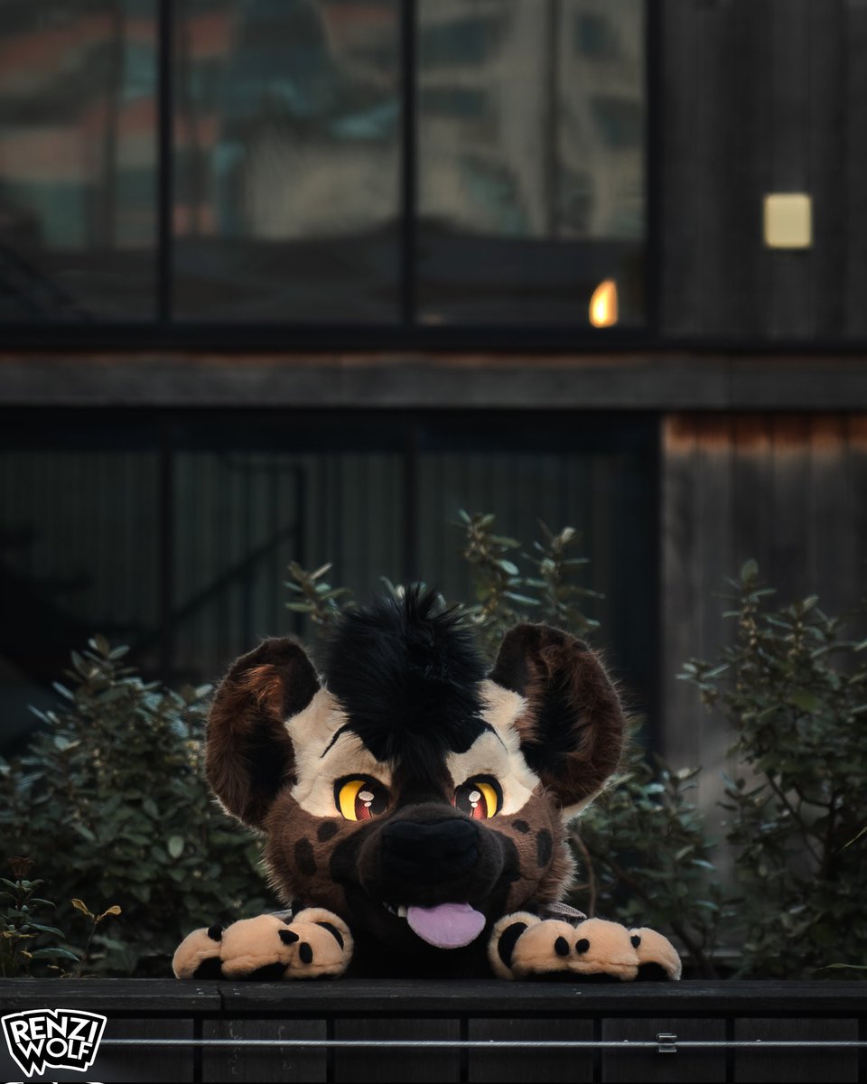 They two types of "Oh, hey"

#FursuitsFriday 
🧵 <a href="/OktaviasCsuits/">Oktavia’s Creatures</a>
📷 <a href="/RenziWolf/">Renzi Wolf</a>