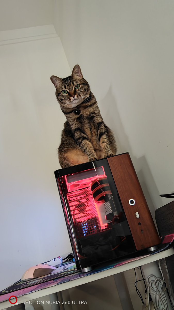 🐱👌
