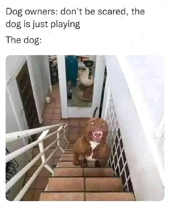 WholesomeMemes tweet media