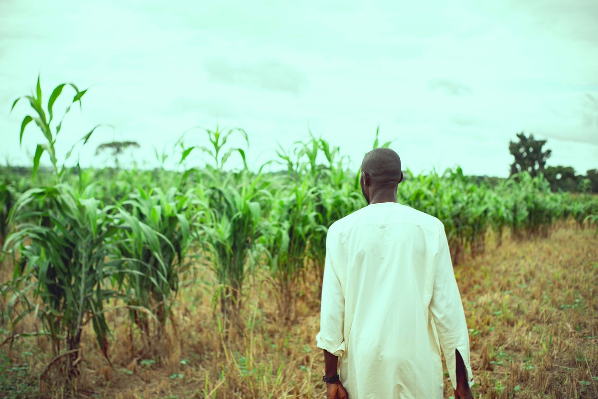 Maize represents 20% of total production and provides 25% of agricultural employment in Kenya. 

Our Crop Production Report gives an in-depth overview of maize production in Kenya for 2022 to 2024.

Click the link below to read.

afex.africa/reports/specia…