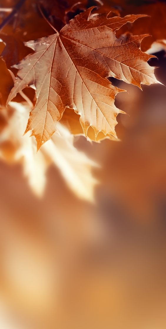 사랑더하기 (@pluslove95) on Twitter photo 