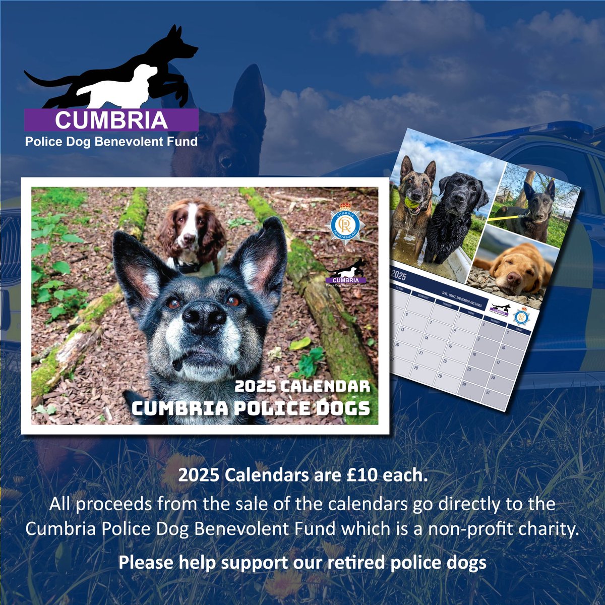 🎄 December is fast approaching and it’s time for you to get your Dog Section 2025 calendar, featuring our current and retired police dogs

🐕 All money made from the calendars goes to the Cumbria Police Dog Benevolent Fund - a charity which supports our dogs in their retirement