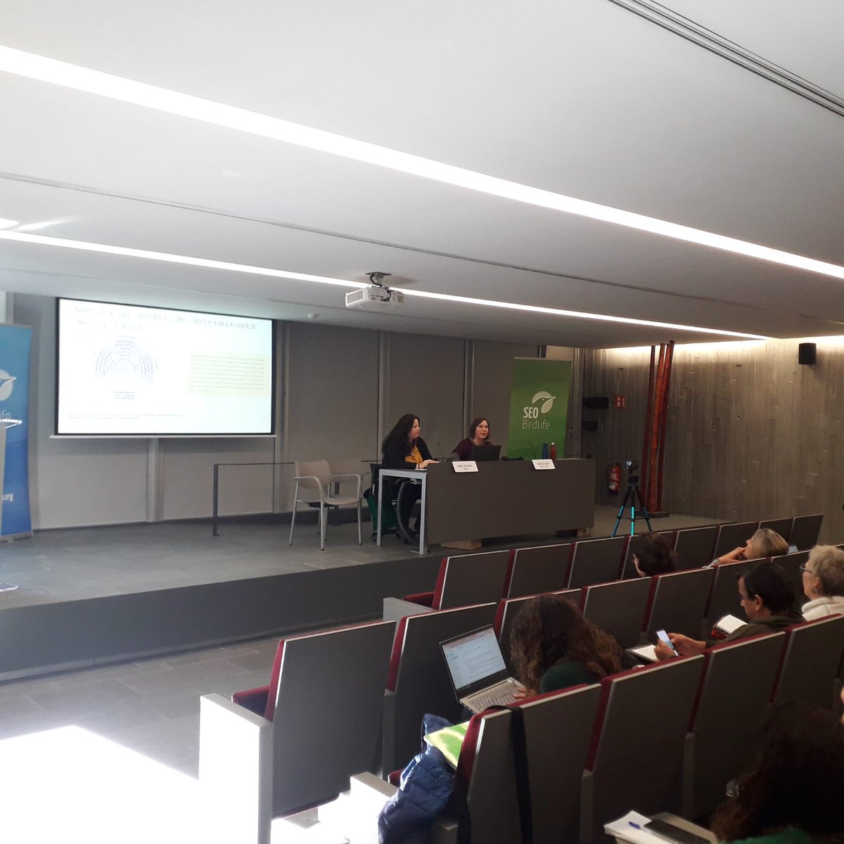 🟢La Irene Cervera Buisán i la Montse Masó Aguado presenten ara mateix la "Guia Salut i Natura 2024" que hem impulsat des de la SCEA, a Olot.

🫂Gràcies a les dues per la feina i la implicació en el projecte!

🌿La podeu consultar a la web &gt; scea.cat/recursos/publi…
#salutinatura