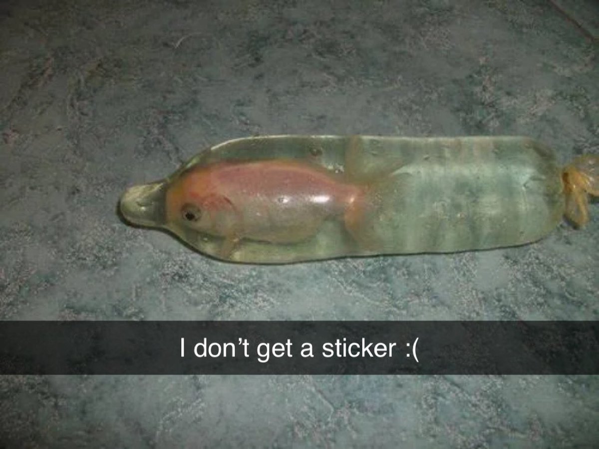 Condom Fish tweet media