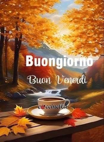 RITABIANCHi56 tweet media