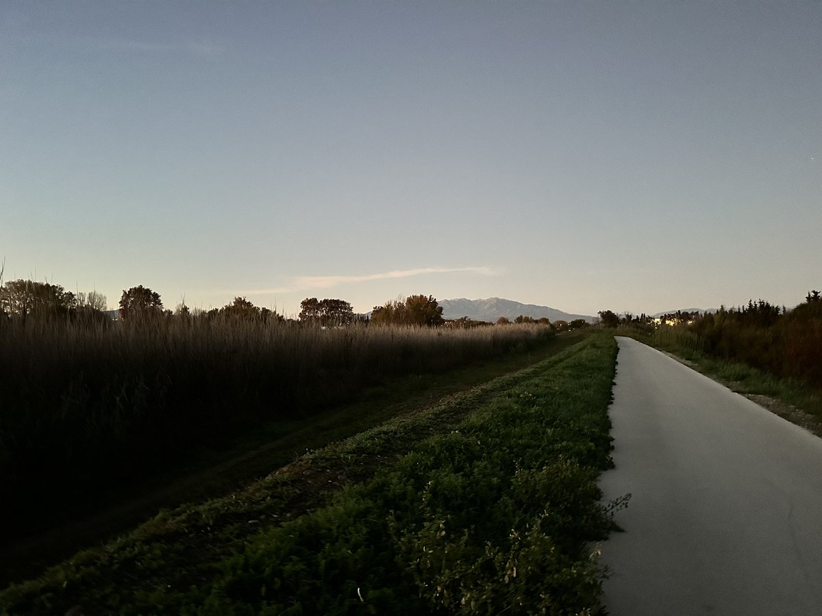 Florent Monteilhet (@fmonteilhet) on Twitter photo L’ <a href="/Occitanie/">Région Occitanie</a> s’éveille doucement, et moi avec elle. Une marche matinale, entre ciel teinté d’orange et terres encore assoupies, m’offre le luxe du calme
C’est là que tout commence #inspiration, #réflexion, #podcasts et préparation
À chaque pas, une journée meilleure
#12000feet L’ <a href="/Occitanie/">Région Occitanie</a> s’éveille doucement, et moi avec elle. Une marche matinale, entre ciel teinté d’orange et terres encore assoupies, m’offre le luxe du calme
C’est là que tout commence #inspiration, #réflexion, #podcasts et préparation
À chaque pas, une journée meilleure
#12000feet