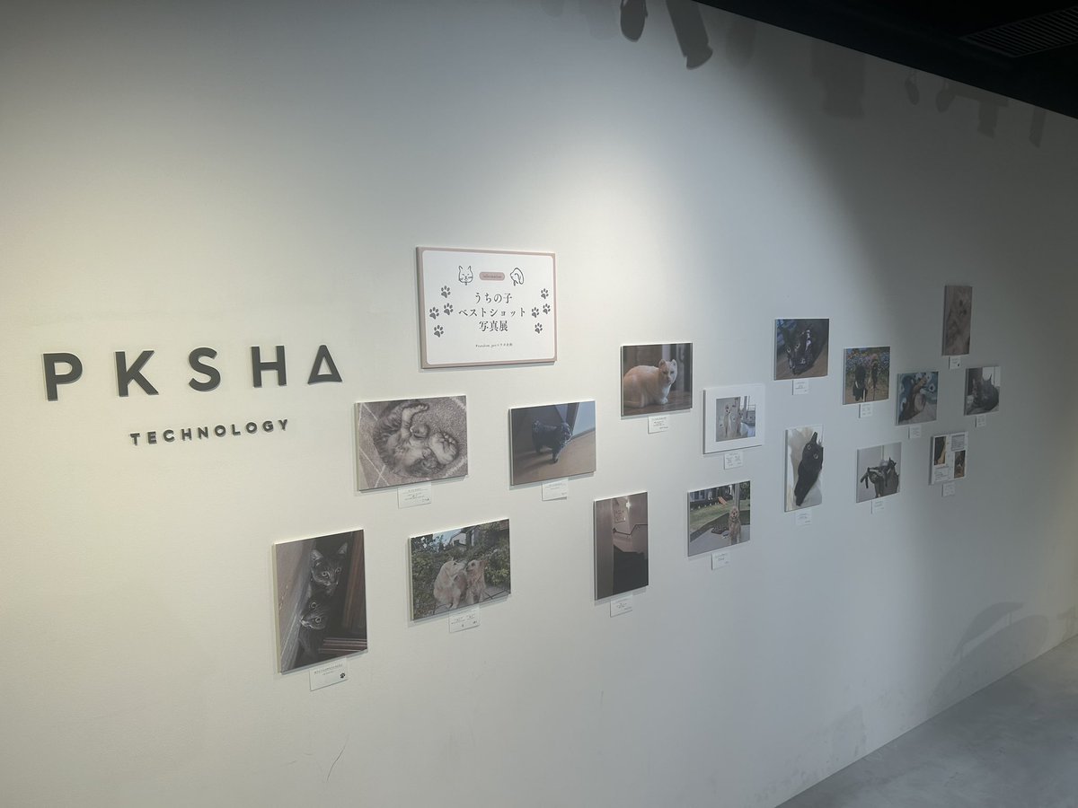 久しぶりにオフィス1階に来たら、オフィスの壁が勝手にジャックされている…