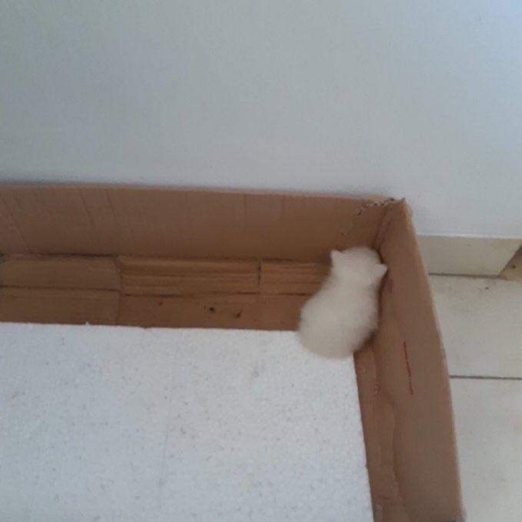 chaaaakra's tweet image. when i do too much