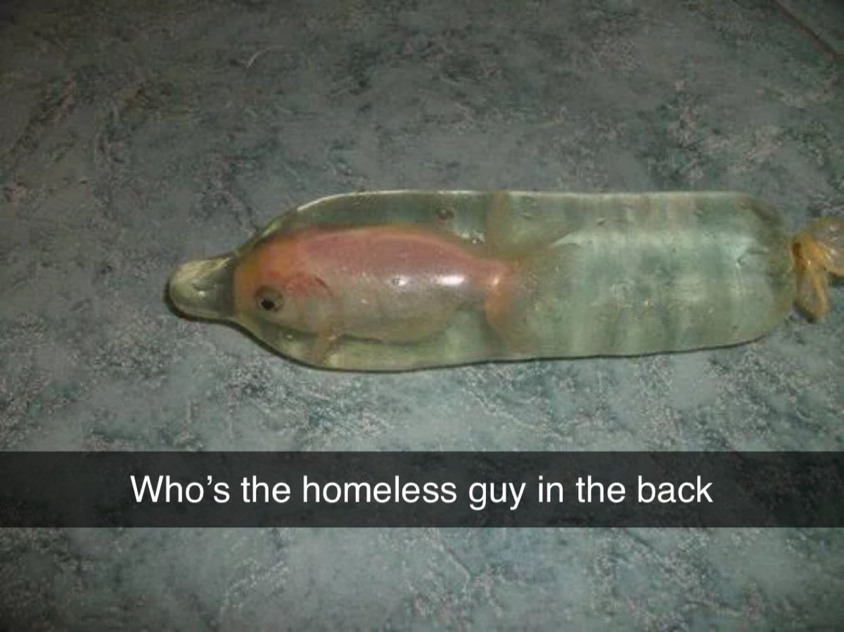 Condom Fish tweet media