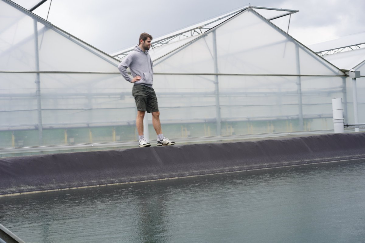 Life ACLIMA tweet media