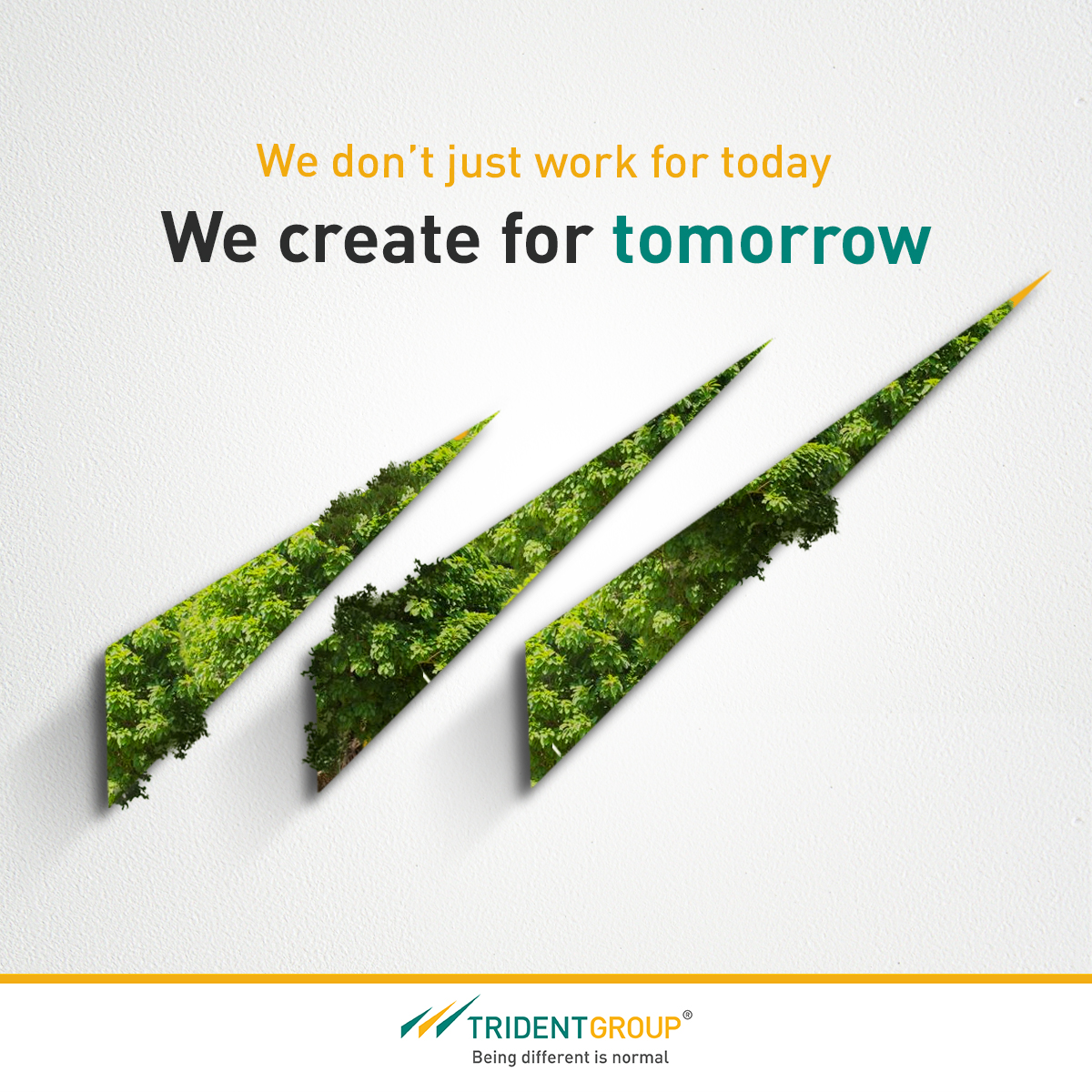 TridentGroupGLB's tweet image. Creating Tomorrow, Today​

At Trident, we believe in shaping a sustainable future. Every step we take today is rooted in our commitment to a greener, brighter, and better tomorrow. 🌱✨​

#CreatingTomorrow #TridentGroup #Sustainability #BeingDifferentIsNormal
