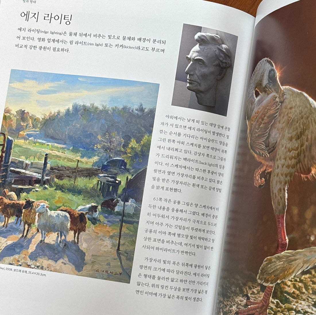 #RT이벤트
빛과 색을 다루는 모든 아티스트를 위한 필독서,
제임스 거니의 『컬러 앤 라이트』가 개정판으로 돌아왔습니다. 번역과 편집 디자인을 다듬어 가독성을 높이고, 판형을 바꾸어 소장 가치를 높였습니다. ◜. ̫.◝꜆✨

🎁rt+팔로우 추첨 2명에게 신간을 보내 드려요. 💛