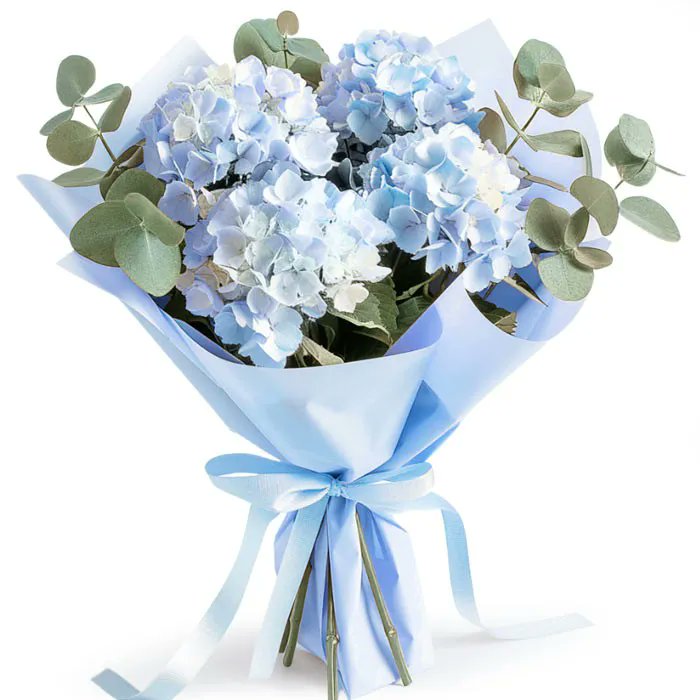 #NoweZdjecieProfilowe