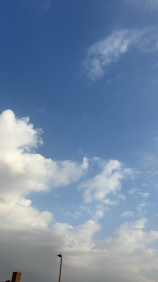 saharjawhari's tweet photo. #بطاقة_تعريف ☀️🌧️🌴🌻🌤️
أنا من الذين يؤمنون بالفأل الحسَن، وتستوطِن الآمال قلوبهم، ممن ينتظرون شروق الشمس بعد غروبِها، أؤمن أن لُكلِ مُشكلةٍ حَل، ولِكُلِ داءٍ دواء، ولِكُلِ ضيقٍ مخرج، ولِكُل كربٍ فرج، من الذين يتلمسون ألطافُ الله وحكمته في كل قَدر، ويبحثون عن منافذ النور في الظُلمات. ☀️🌟☀️🌟
#صباحيات 
#يوم_الجمعة