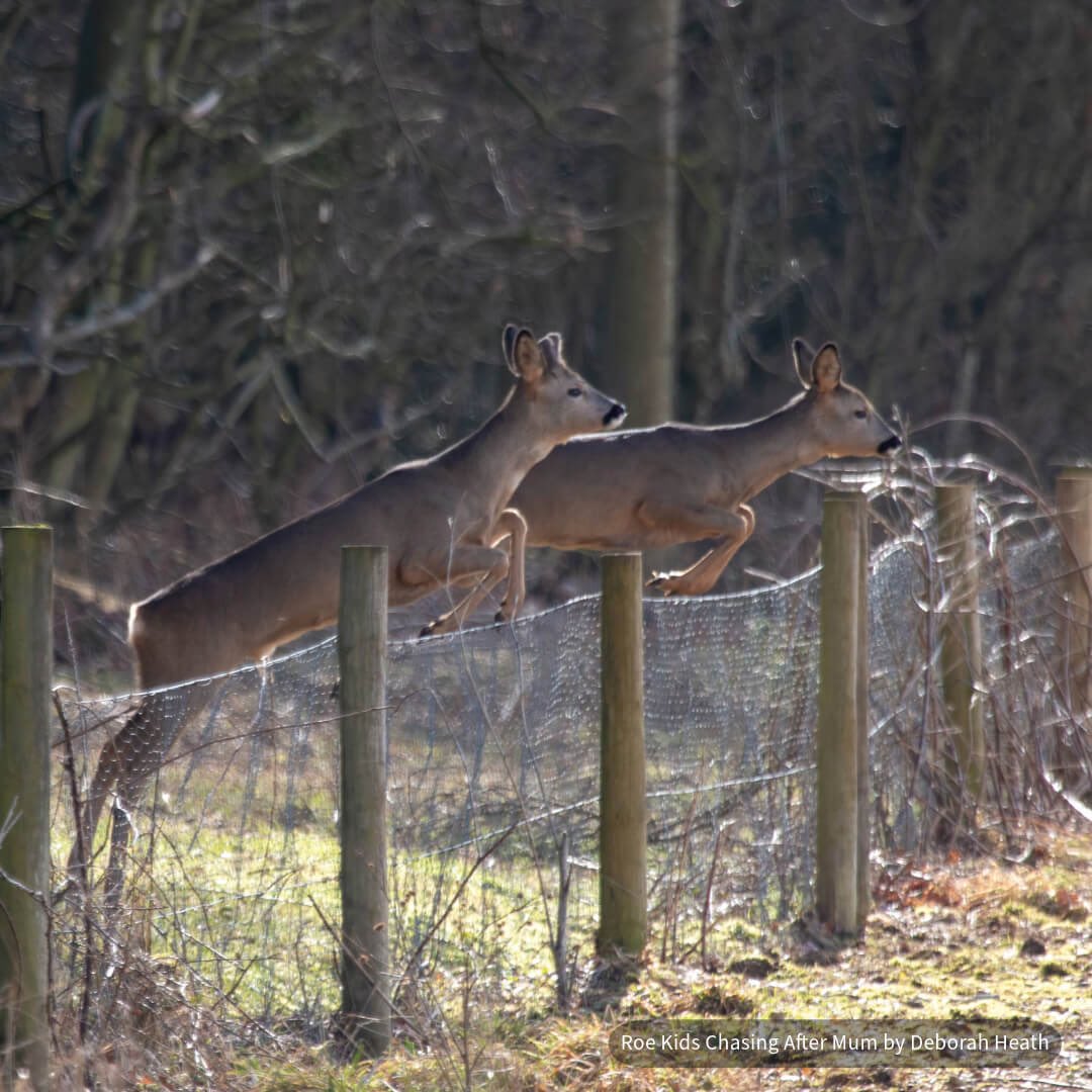 MILERHS's tweet image. What a picture #neckandneck I wish I had taken it 
Just wow !!!