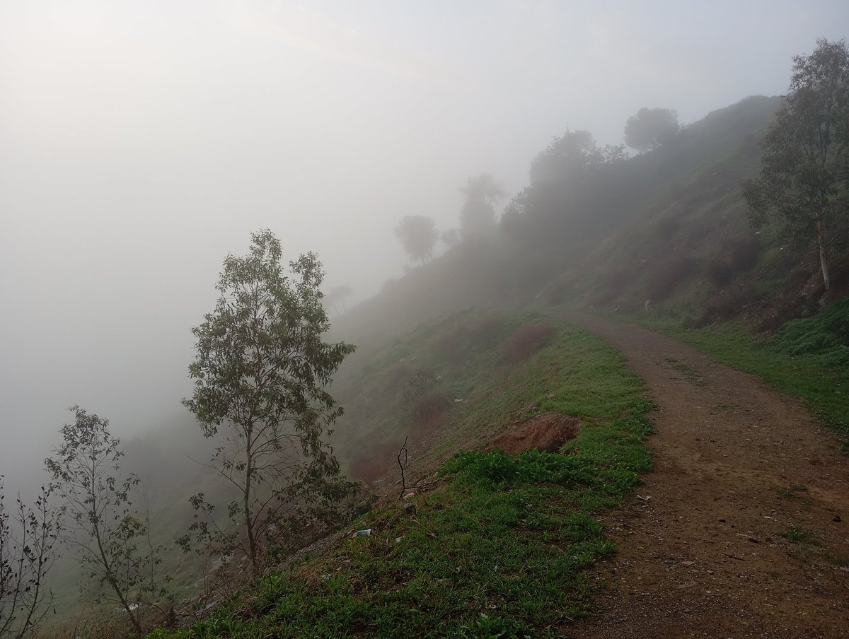 Así amanecemos hoy 🤍