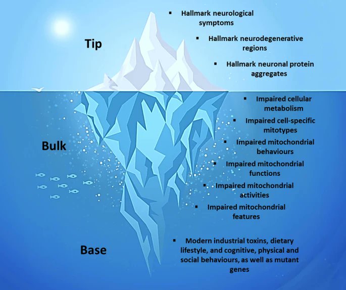 drmclphillips's tweet image. The metabolic iceberg: A new way to conceptualize neurodegenerative disorders (AD, PD, ALS, HD).

…alneurodegeneration.biomedcentral.com/articles/10.11…