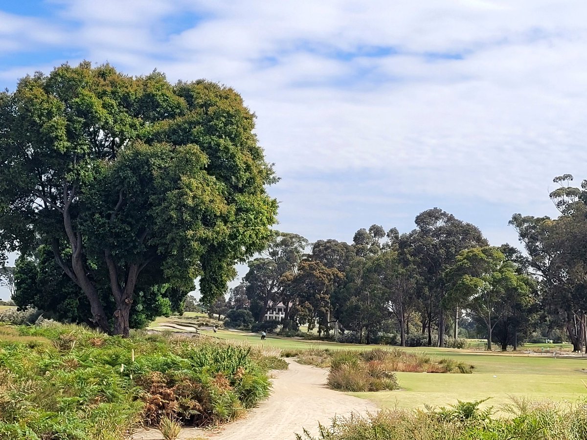 burnsgeoff's tweet image. Had a break on the sandbelt...played 5 of say 12 the travelling golfer should travel the globe to appreciate.
Melburnians are so thankful  they are pleased to share , but it is getting very expensive and precious.I will continue to explore ; this trip on nzgeoffburns Insta.