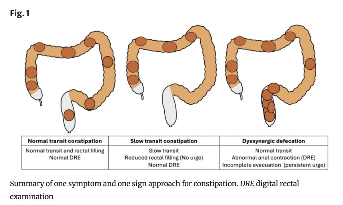 Indian Journal of Gastroenterology tweet media