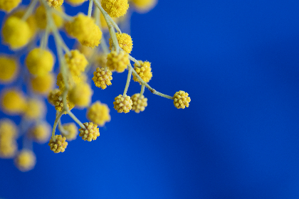 Held on Nov. 20 in Dubai, Web3 Unleashed #2 witnessed 15 finalists competing to develop a unique and creative solution to a real-world challenge. Eventually, five projects emerged as winners to get their share in the $160,000 prize pool.