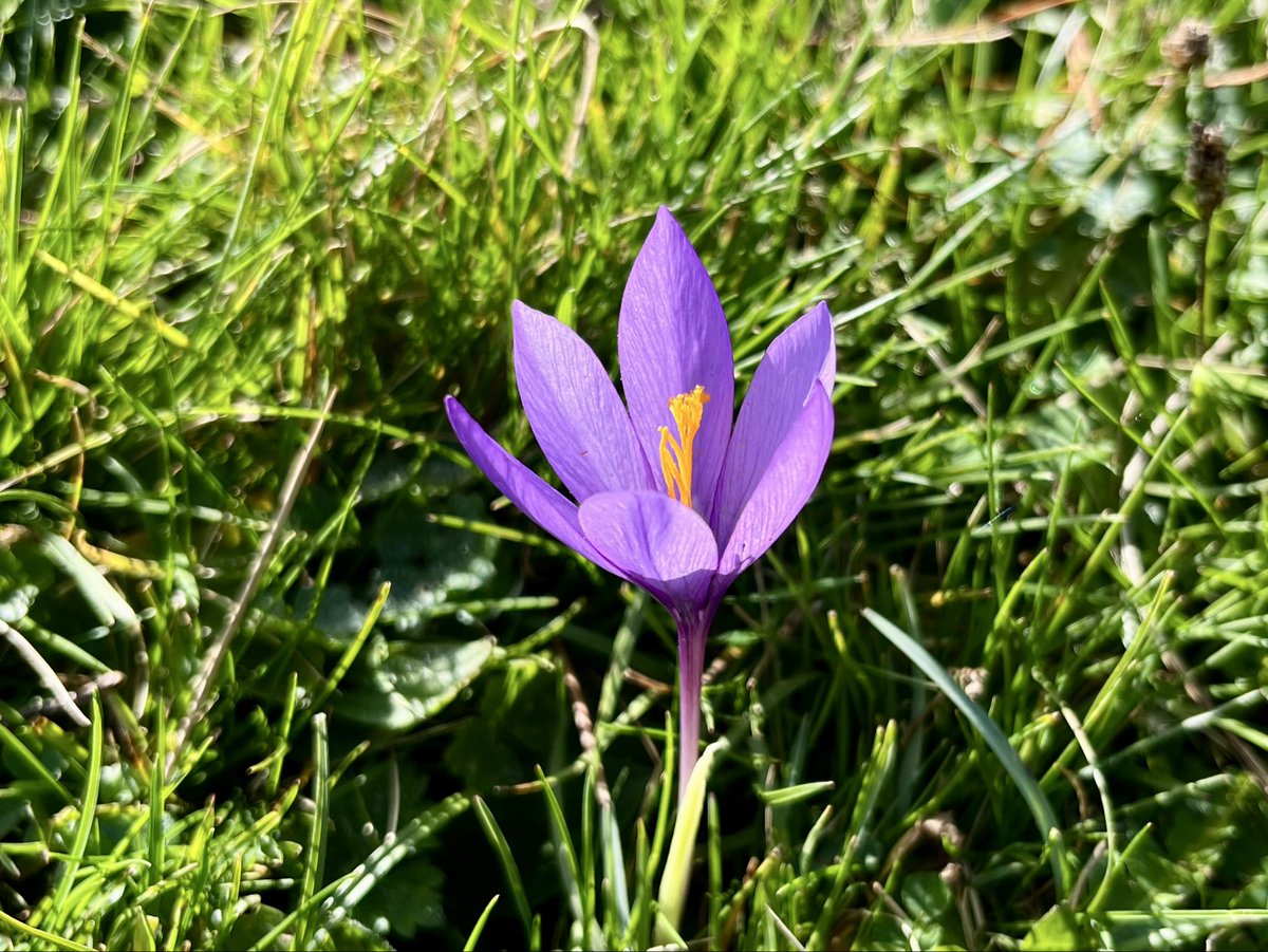 #morea 
#sasitxiotx 
#asteanbehin