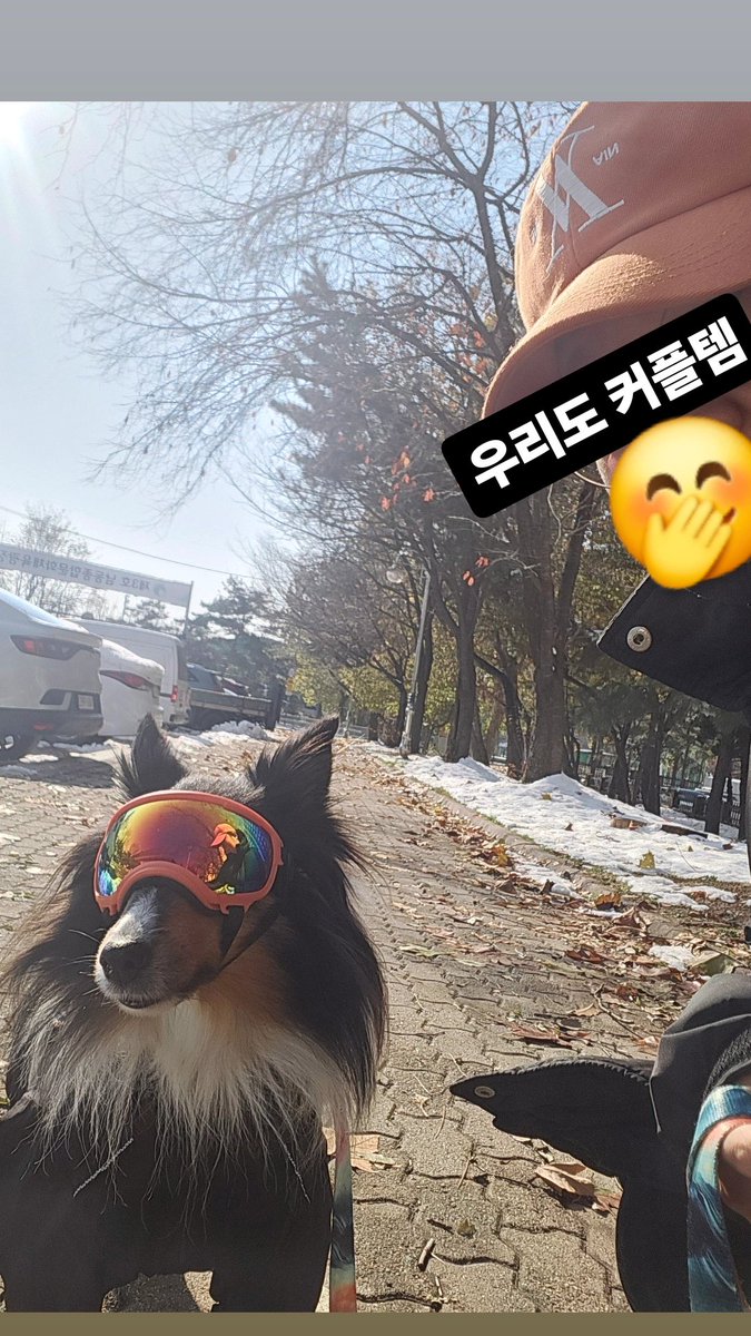 시강하고 다닌 강아지 길에서 사진도찍혔다. 
나랑 커플룩으로괌(블랙&amp;오렌지)