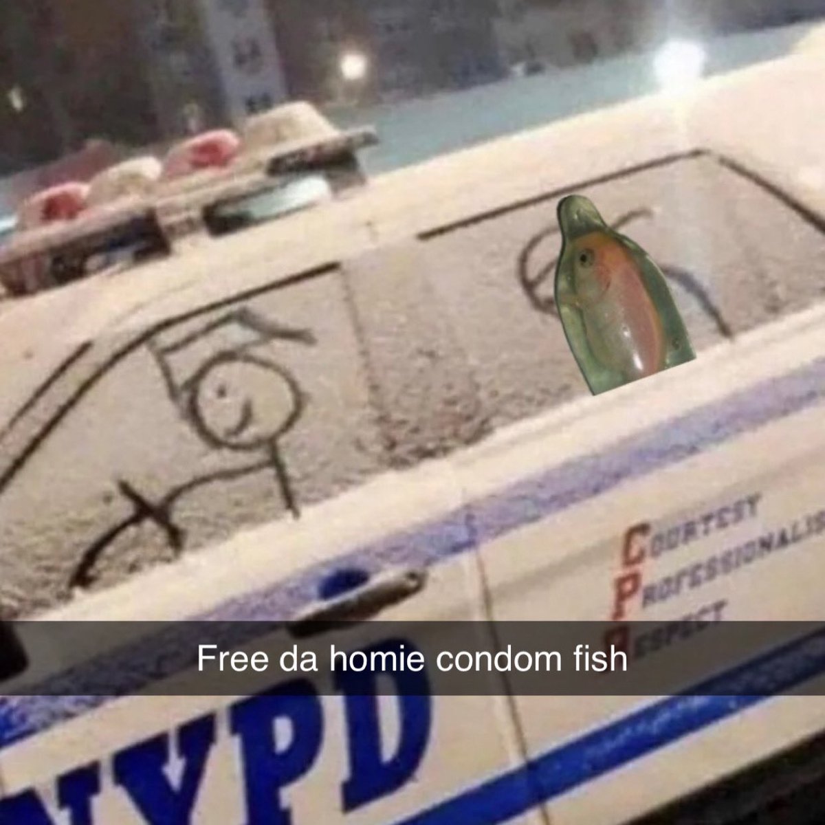 Condom Fish tweet media