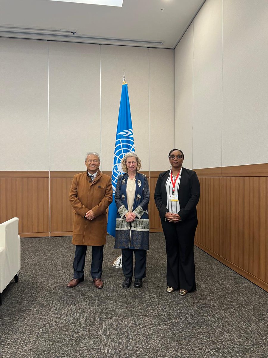 Embajada del Perú en Corea tweet media