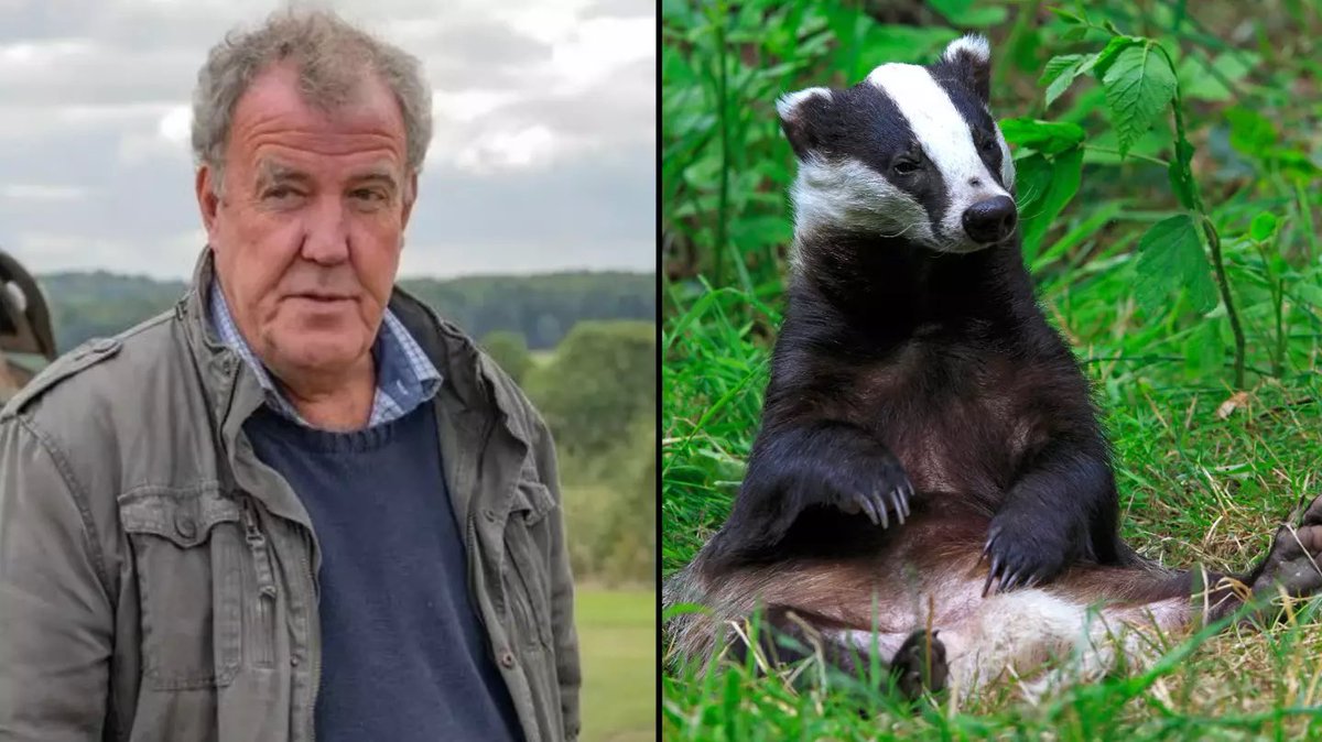 This is the lovely Jeremy Clarkson. He’s used his show ‘Clarkson’s Farm’ to vilify Badgers as responsible for the spread of bTB and has shot all the Badgers on his farm 

He’d hate it if people ‘RT'd’ this and signed the petition to end the Badger cull.. 

petition.parliament.uk/petitions/7003…