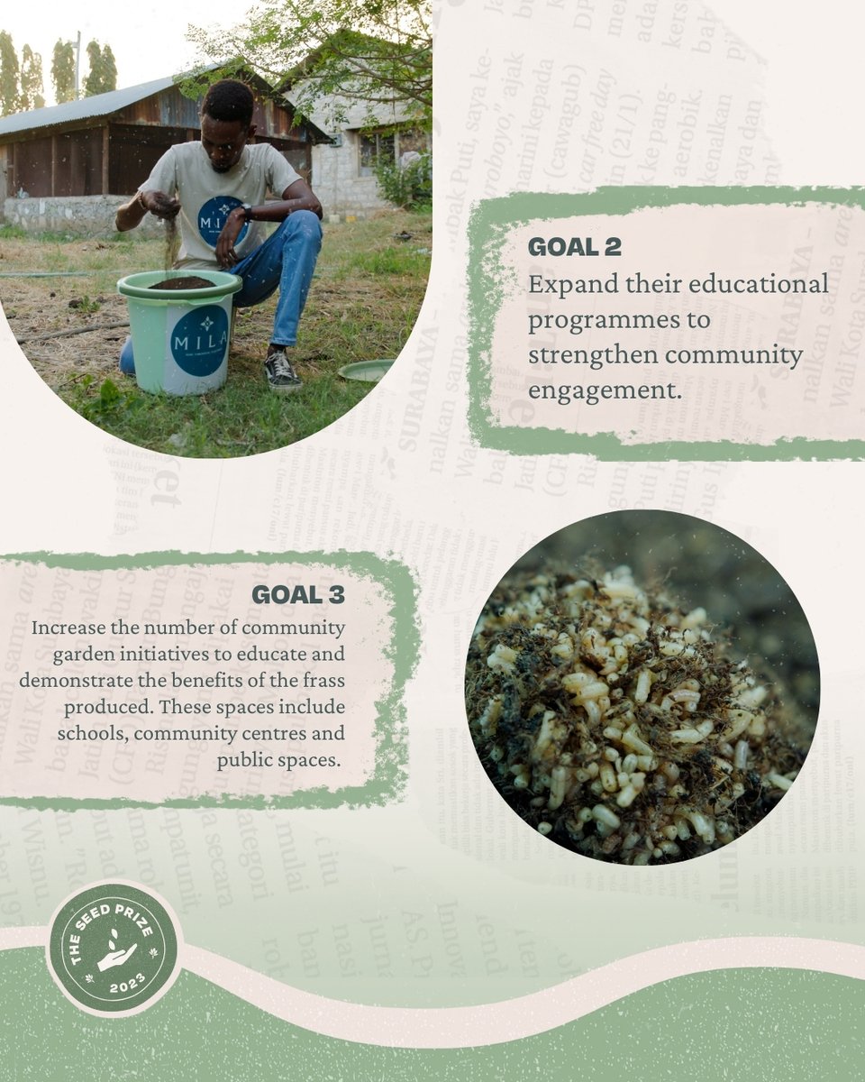 After winning the Seed Prize in 2023, Project Mila has secured repeat funding to scale its impact in Mombasa, Kenya, for 2025! 💪 This support will empower them to continue their mission of converting #organicwaste into valuable resources using black soldier flies 🇰🇪