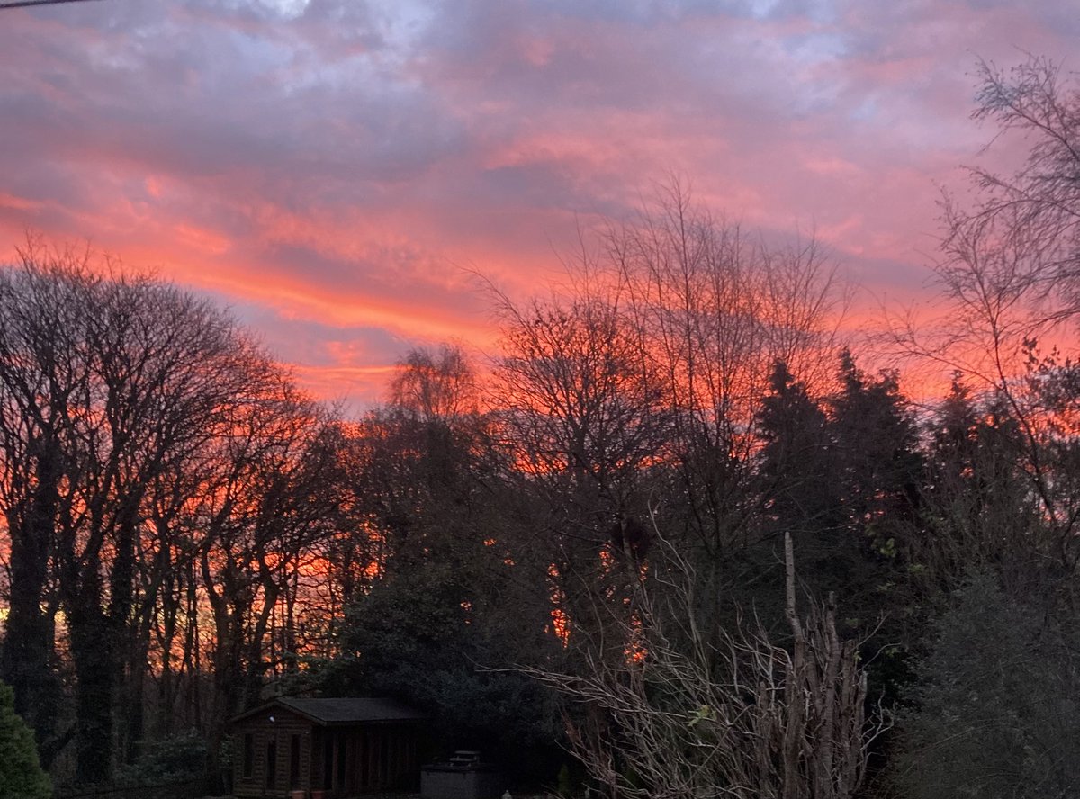 Not a morning person but this was worth waking up to today ❤️