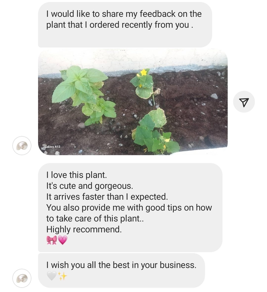 a77_sylv's tweet photo. One of our customers feedback.
✨ https://t.co/hj2UTGiAVS