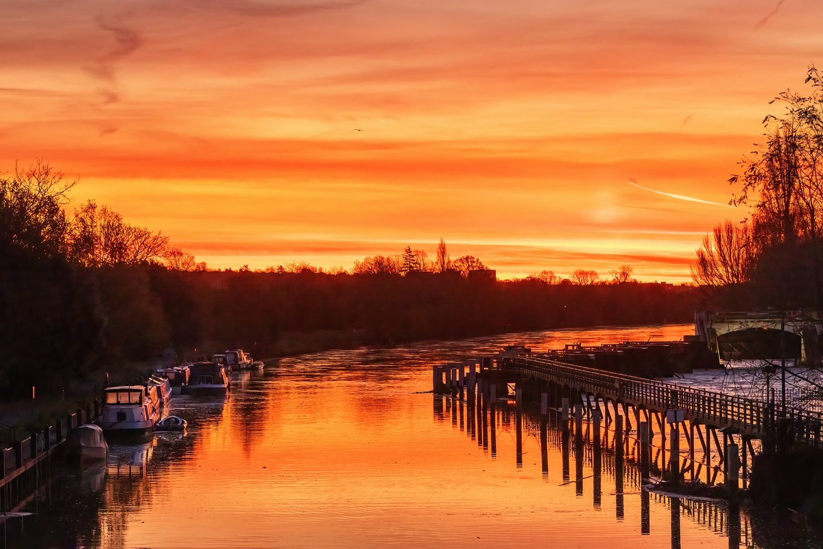 Sue Lindenberg tweet media