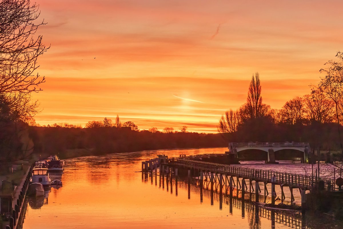 Sue Lindenberg tweet media