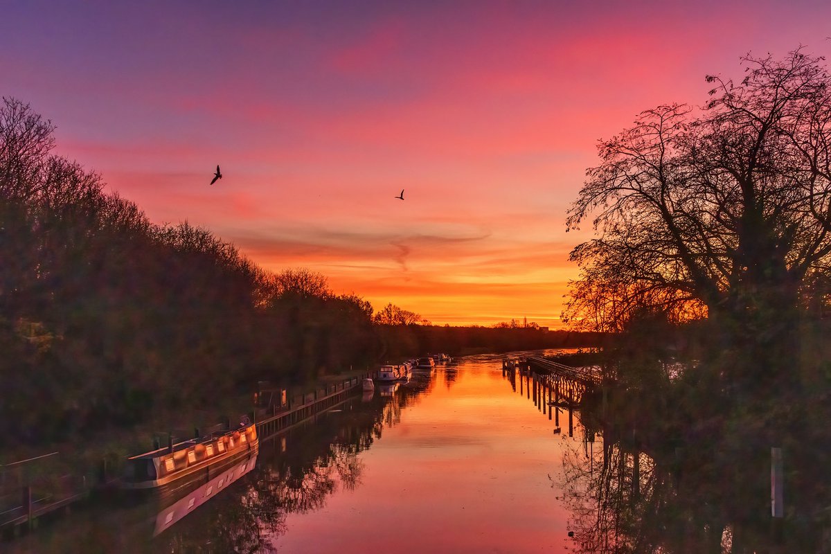 Sue Lindenberg tweet media