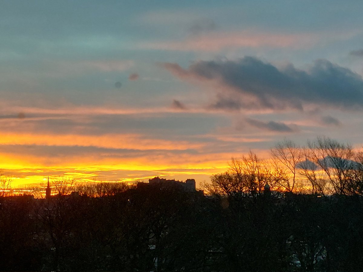 Fettes Humanities tweet media