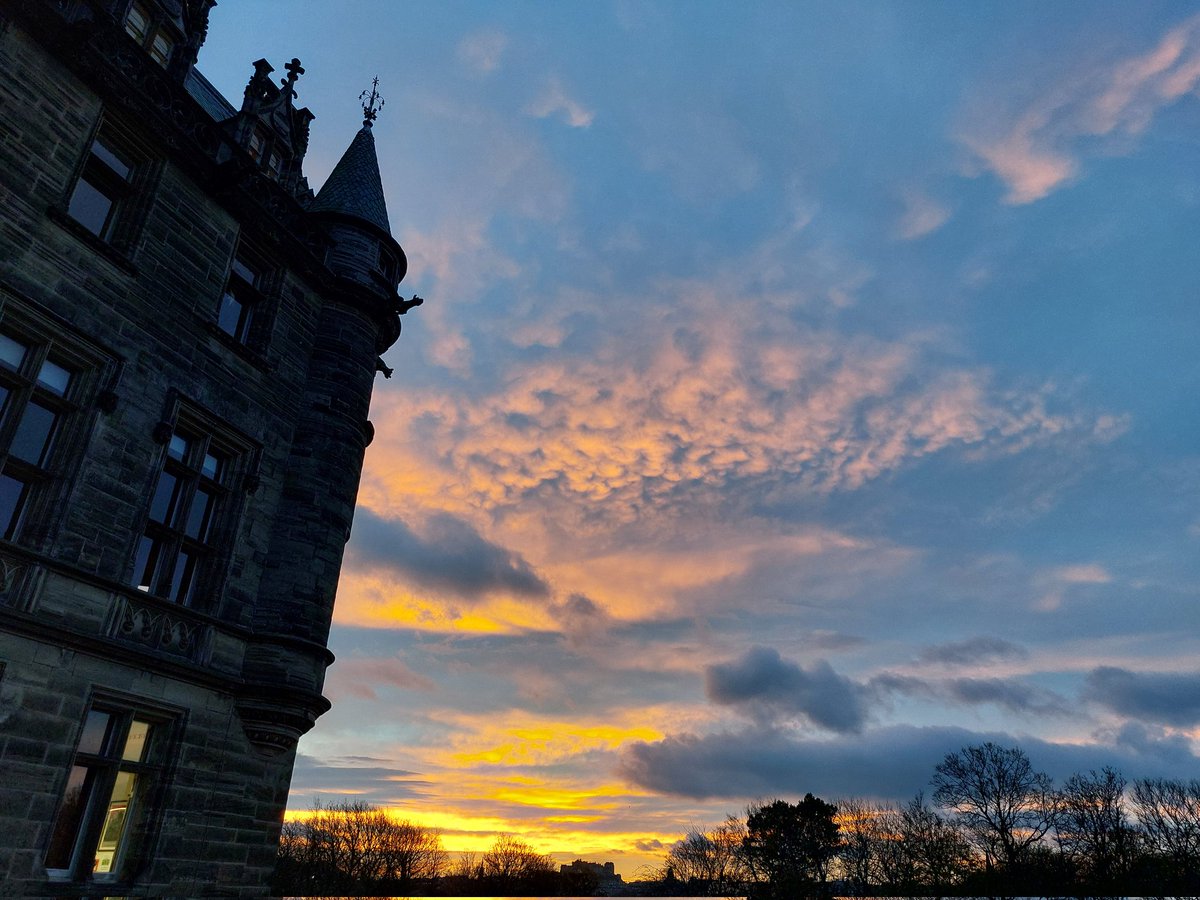 Fettes Humanities tweet media