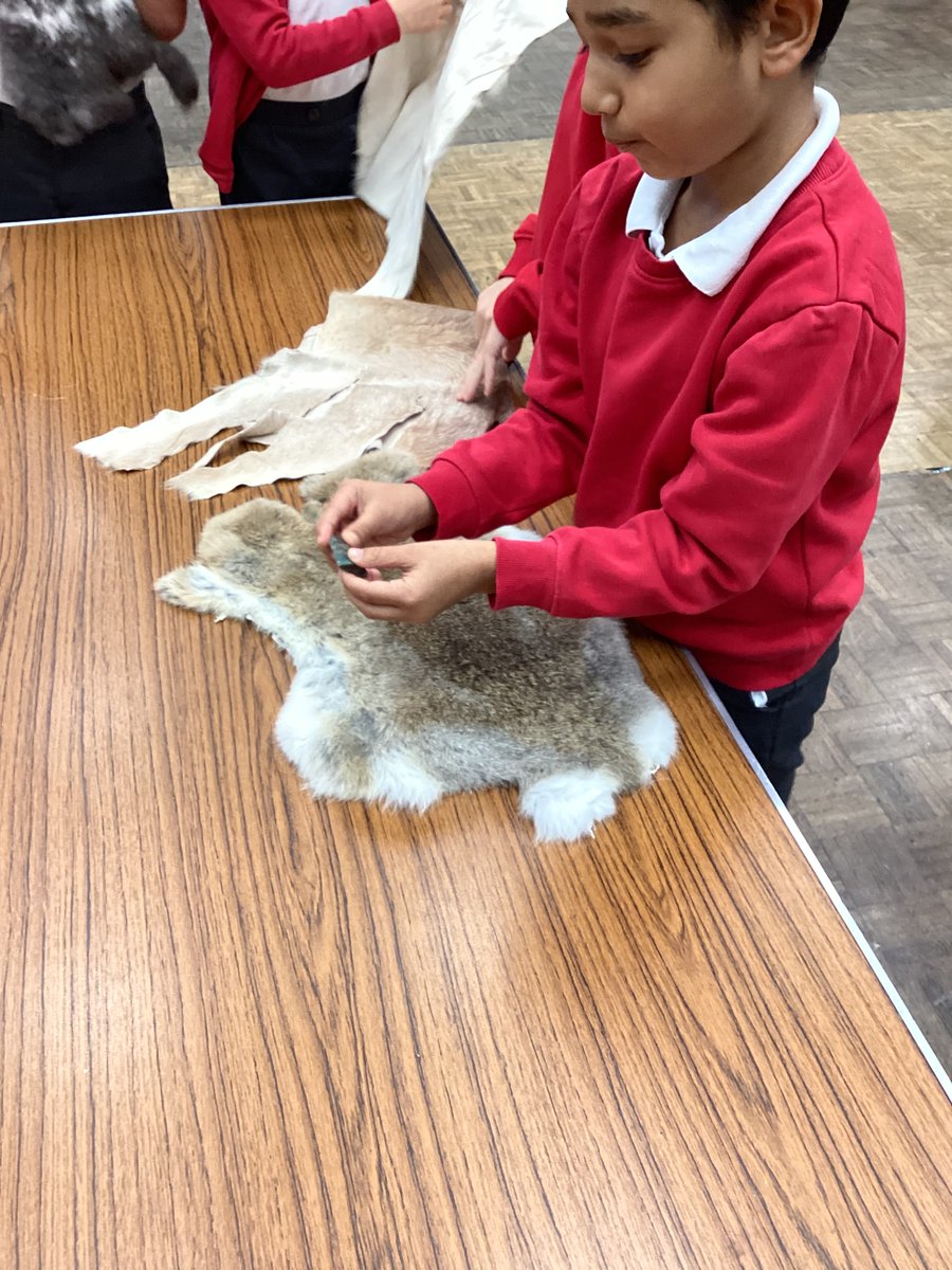 ChattendenPrim's tweet photo. Exploring the Stone Age at Chattenden Primary! https://t.co/iGTrstlPdz